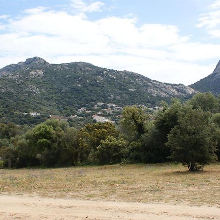 Belle Location Sur Lumio Avec Vue Remarquable Et Jardin Villa Eksteriør billede