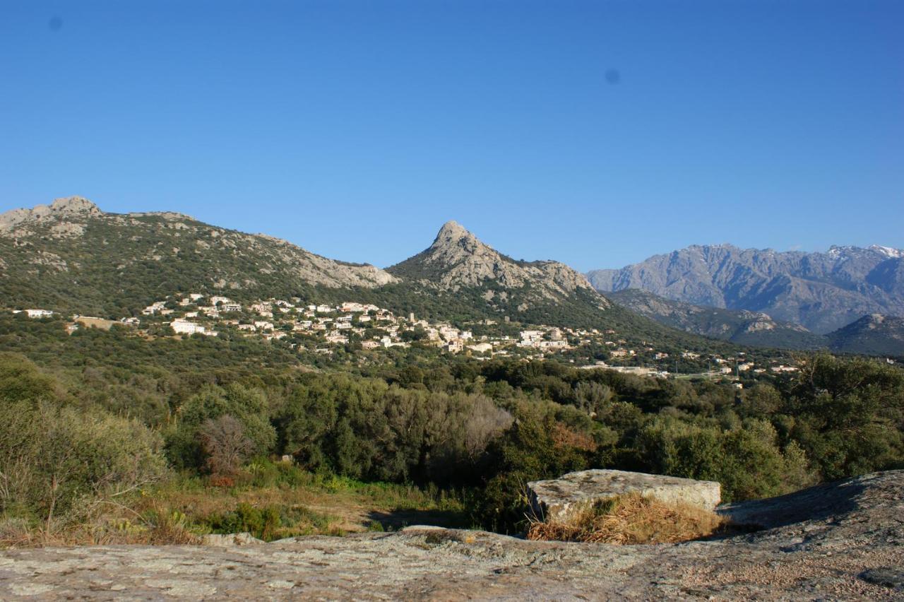 Belle Location Sur Lumio Avec Vue Remarquable Et Jardin Villa Eksteriør billede
