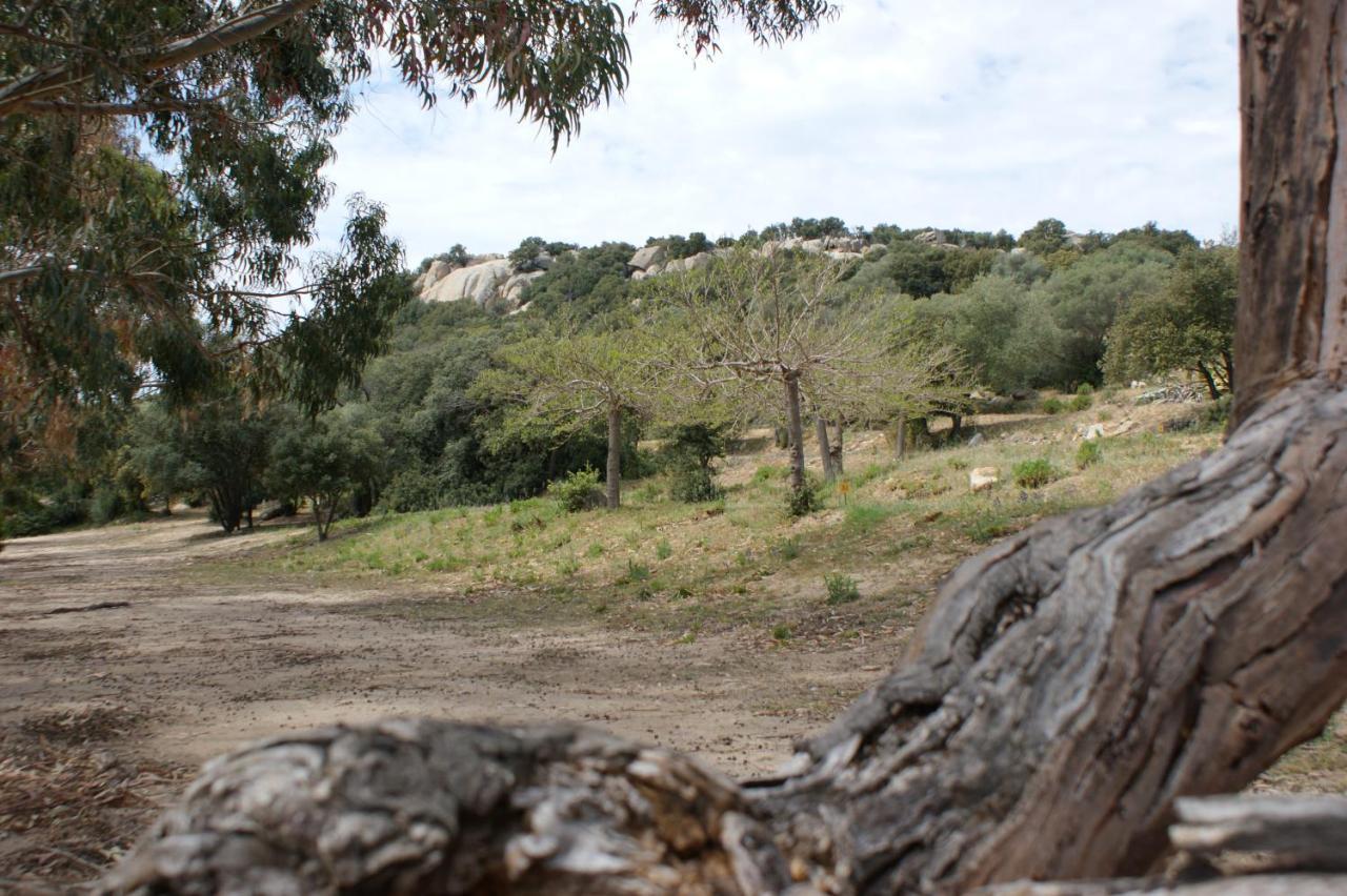 Belle Location Sur Lumio Avec Vue Remarquable Et Jardin Villa Eksteriør billede