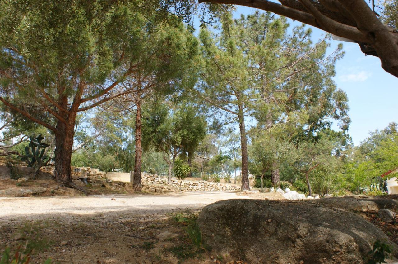 Belle Location Sur Lumio Avec Vue Remarquable Et Jardin Villa Eksteriør billede