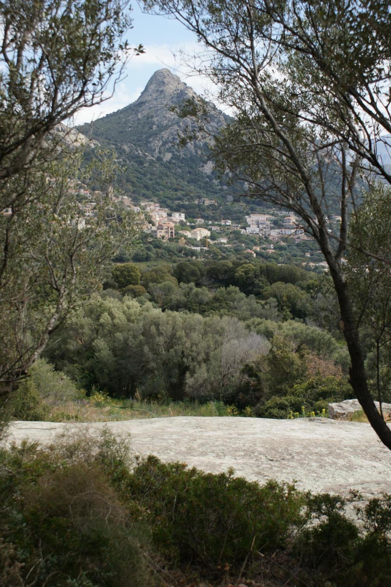 Belle Location Sur Lumio Avec Vue Remarquable Et Jardin Villa Eksteriør billede